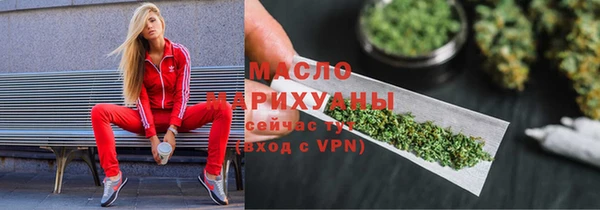 индика Абаза