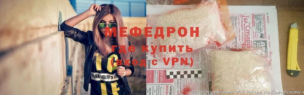 индика Абаза