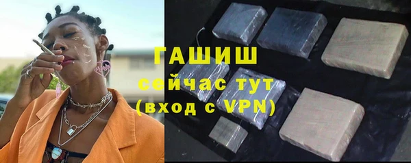 индика Абаза