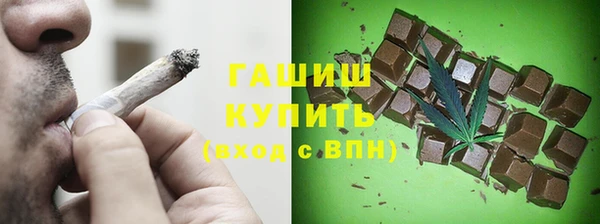 индика Абаза