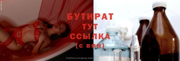 индика Абаза