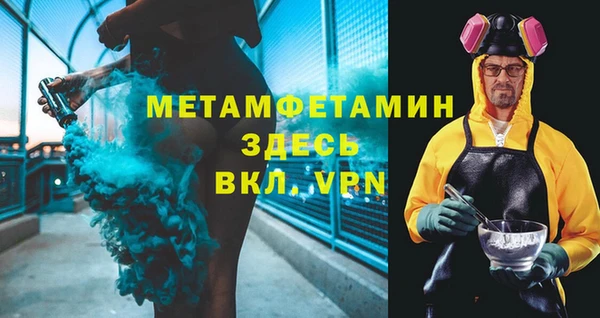 индика Абаза