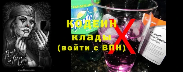 индика Абаза